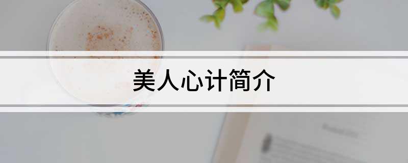 美人心计简介