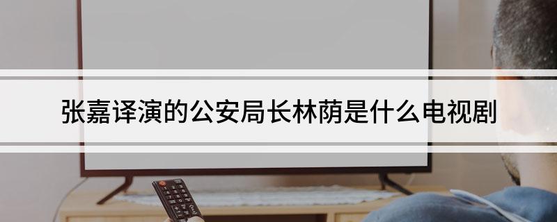 张嘉译演的公安局长林荫是什么电视剧