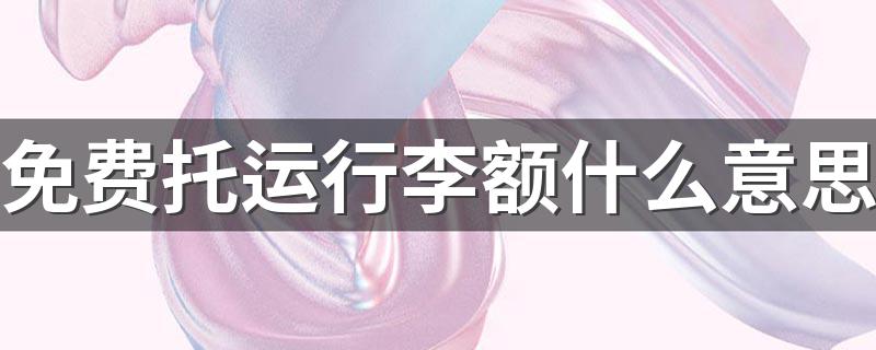 免费托运行李额说明什么_免费托运行李额什么意思
