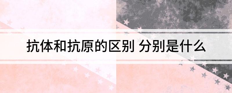抗体和抗原的区别(分别是什么)