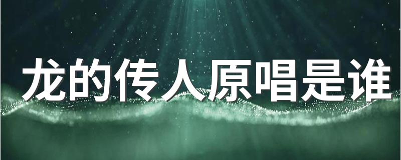 龙的传人歌词展示_龙的传人原唱是谁