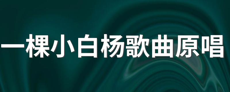 你听过吗_一棵小白杨歌曲原唱