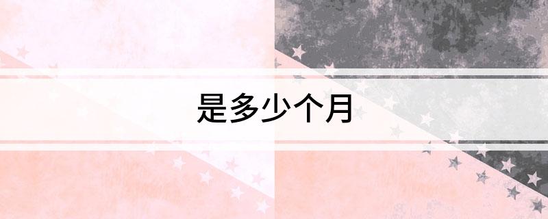 是多少个月