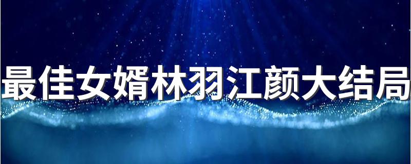 最佳女婿江颜和林羽最后怎么样了_最佳女婿林羽江颜大结局