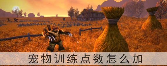 魔兽世界怀旧服宠物训练点数怎么加