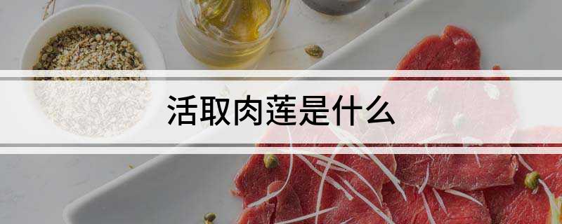 活取肉莲是什么