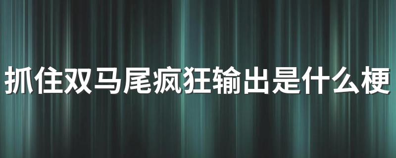 抓住双马尾疯狂输出的出处_抓住双马尾疯狂输出是什么梗