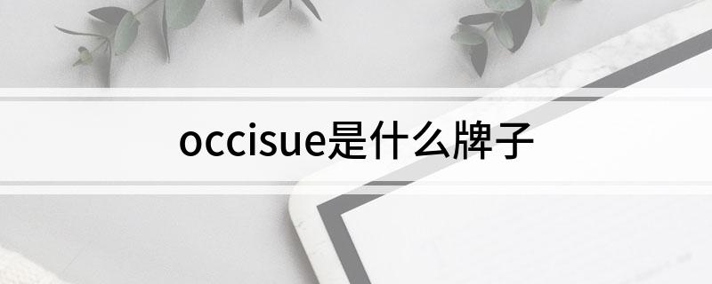 occisue是什么牌子