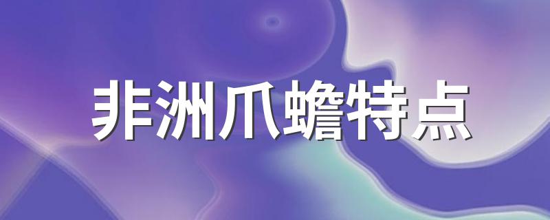 非洲爪蟾特点(非洲爪蟾的介绍)
