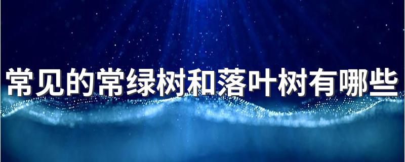常绿树和落叶树有何区别_常见的常绿树和落叶树有哪些
