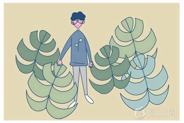 个人专长可以填哪些
