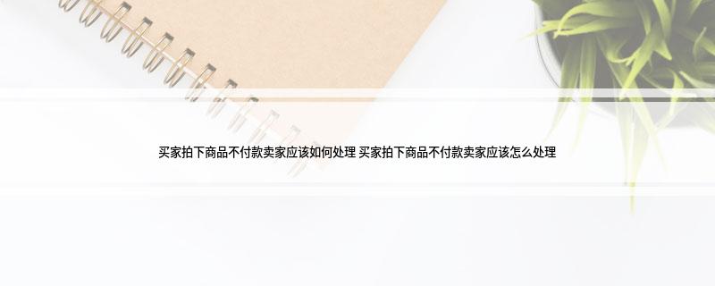 买家拍下商品不付款卖家应该如何处理(买家拍下商品不付款卖家应该怎么处理