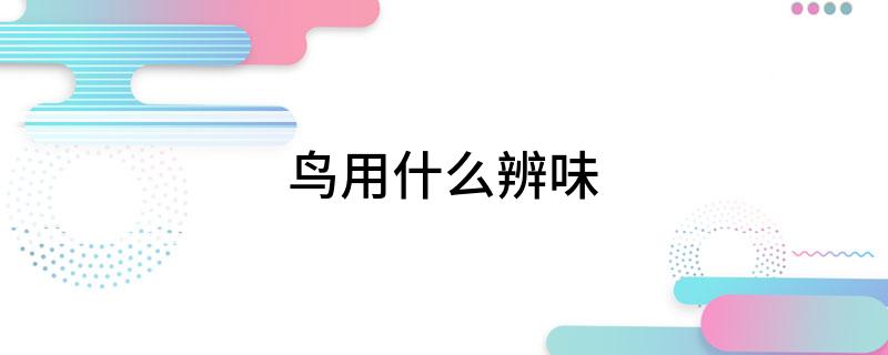 鸟用什么辨味