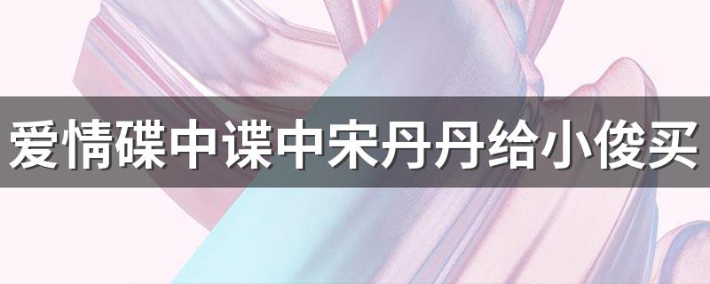 爱情碟中谍中宋丹丹什么时候买房子_爱情碟中谍中宋丹丹给小俊买房子是哪一