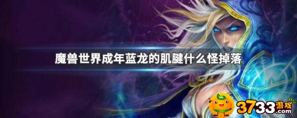 魔兽世界