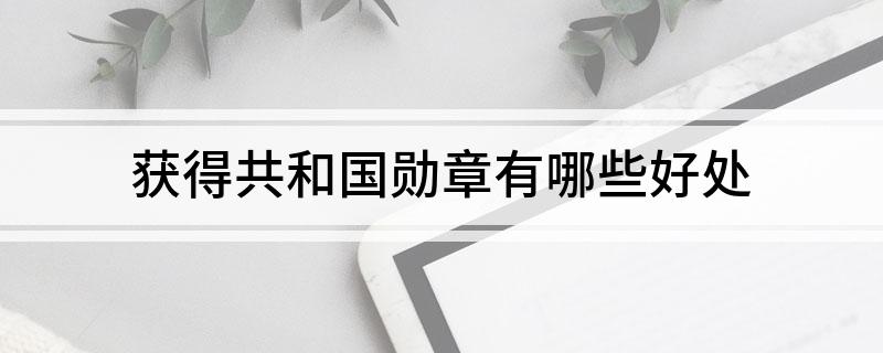 获得共和国勋章有哪些好处