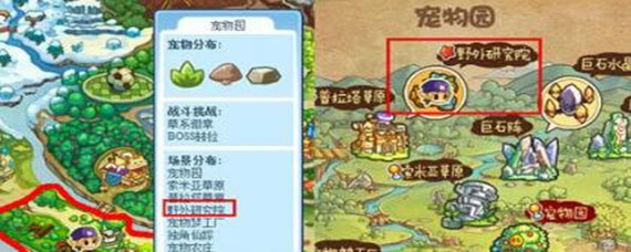 洛克王国武斗酷猫在哪里超进化(武斗酷猫超进化地点分享)