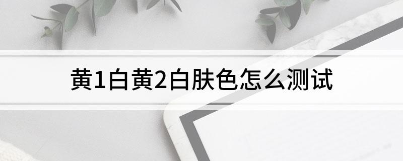 黄1白黄2白肤色怎么测试