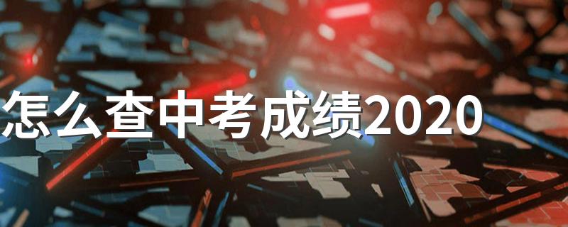 怎么查询中考成绩分数2020年_怎么查中考成绩20