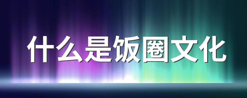 关于饭圈文化的意思_什么是饭圈文化