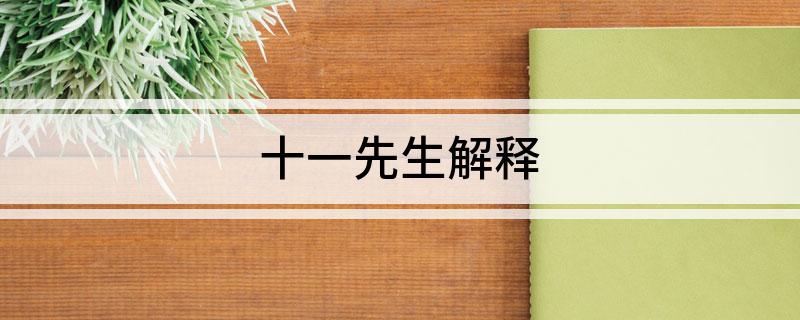 十一先生解释