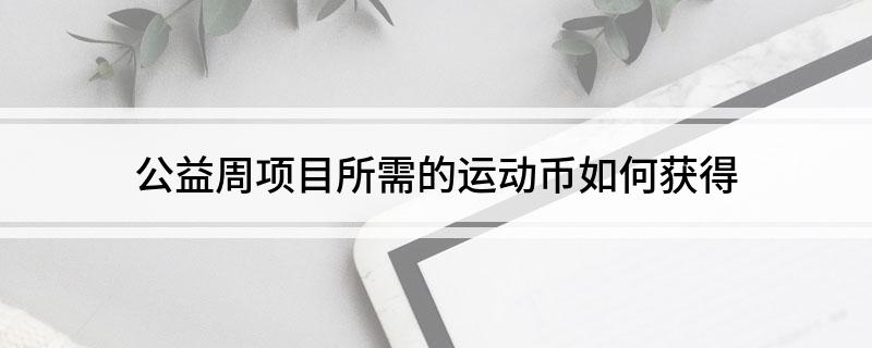 公益周项目所需的运动币如何获得