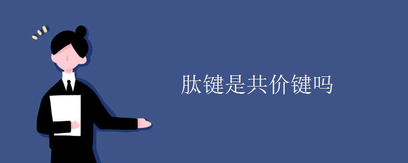 肽键是共价键吗