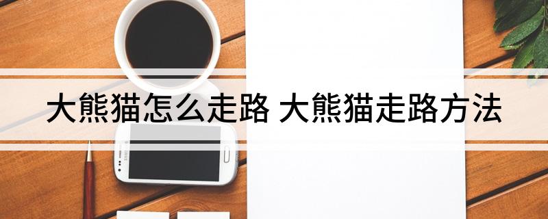 大熊猫怎么走路(大熊猫走路方法)