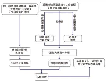 报到流程