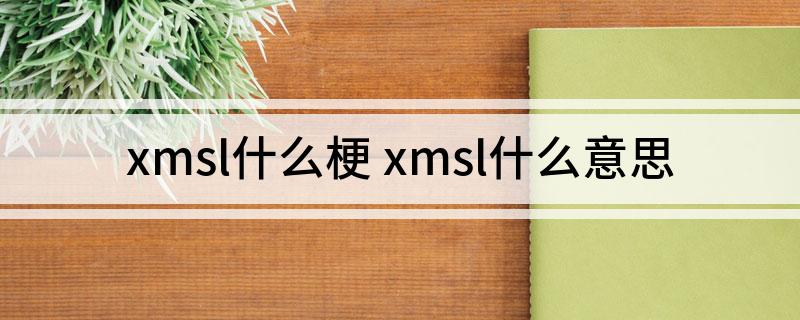 xmsl什么梗