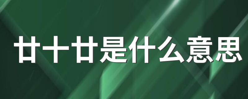 廿十廿的意思_廿十廿是什么意思