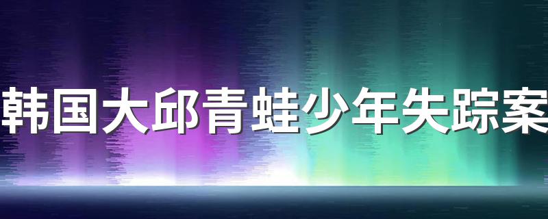 失踪案介绍_韩国大邱青蛙少年失踪案
