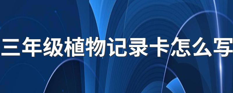 三年级植物记录卡这样写简单又全面_三年级植物记录卡怎么写