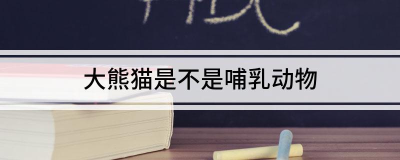 大熊猫是不是哺乳动物