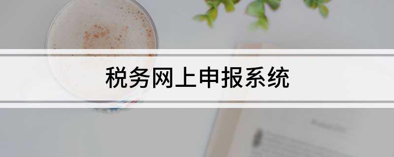 税务网上申报系统