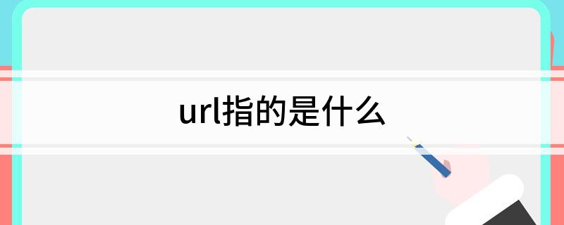 url指的是什么