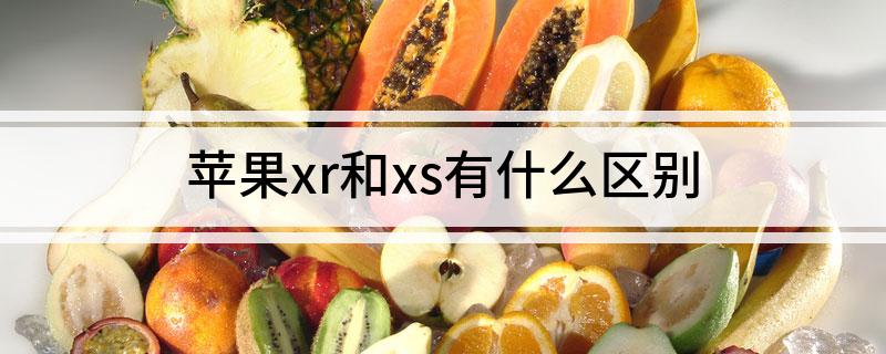苹果xr和xs有什么区别