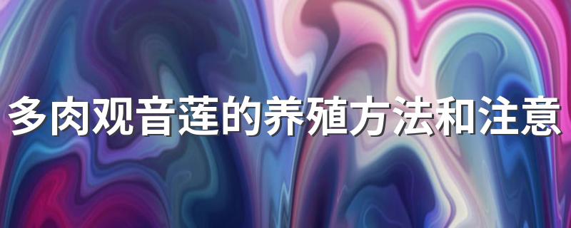 多肉观音莲如何养殖_多肉观音莲的养殖方法和注意事项