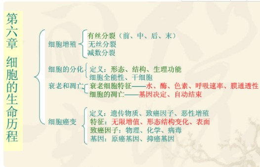 高中生物必修一网状思维导图