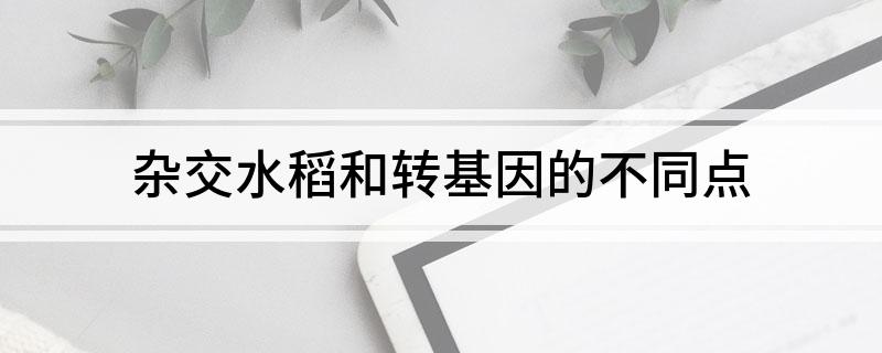杂交水稻和转基因的不同点
