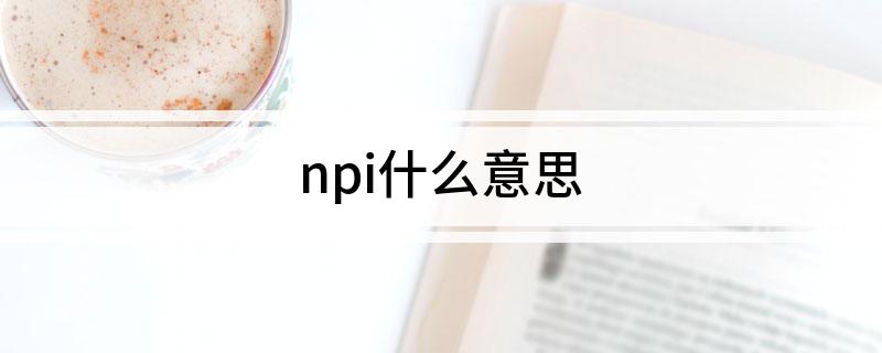 npi什么意思