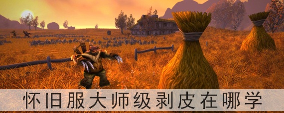 魔兽世界怀旧服大师级剥皮在哪学(大师级剥皮去哪学)