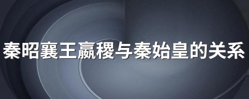 秦昭襄王嬴稷与秦始皇介绍_秦昭襄王嬴稷与秦始皇的关系是什么