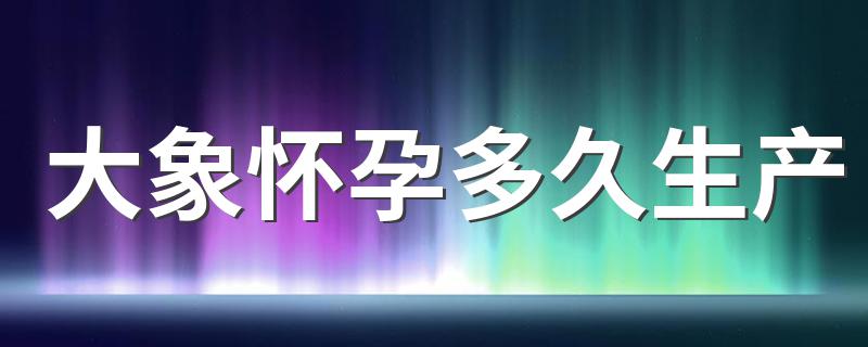 大象怀孕时间_大象怀孕多久生产