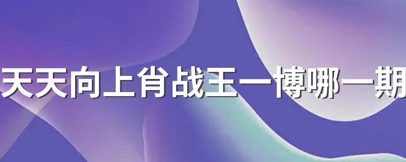 大家可以了解一下_天天向上肖战王一博哪一期