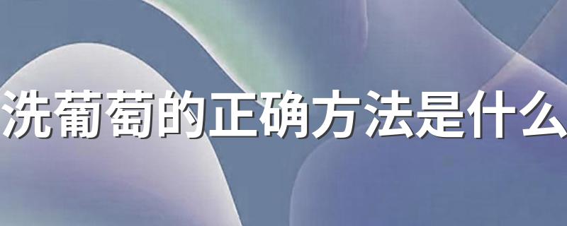 这样洗葡萄才干净_洗葡萄的正确方法是什么
