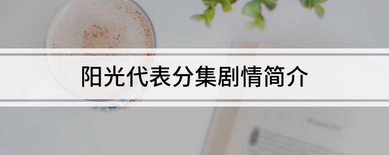 阳光代表分集剧情简介