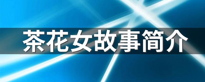 茶花女小说简介_茶花女故事简介