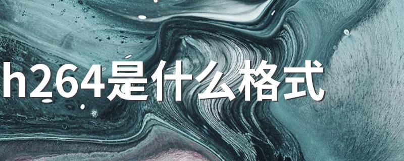 这里有正解快来看_h264是什么格式