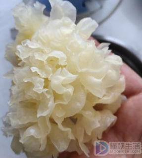 银耳汤怎么做才粘稠